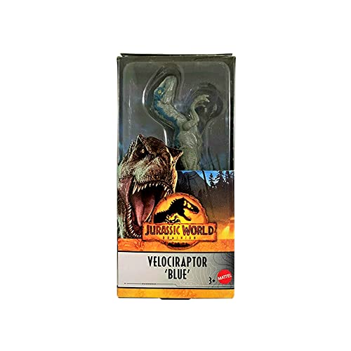 Mattel Velociraptor Dinosaurier-Figur, 15,2 cm, Blau Mattel Velociraptor Dinosaurier-Figur, 15,2 cm, Blau von Jurassic World