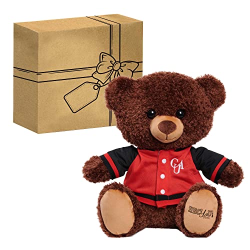 HBCyoU Clark Kuscheliger Letterman Teddybär, Abschlussgeschenke, Stofftiere und Spielzeug für Kinder ab 3 Jahren, 25,4 cm von Just Play