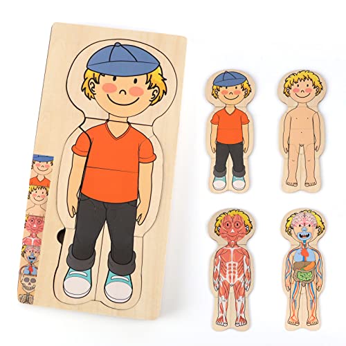 KABENFIS 29-teiliges Jungen-Körper-Puzzle für Kinder und Kleinkinder von KABENFIS
