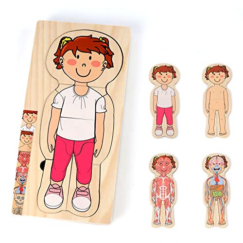 KABENFIS 29-teiliges Mädchen-Anatomie-Spielset Holzkörperpuzzle für Kinder, Jungen und Mädchen von KABENFIS