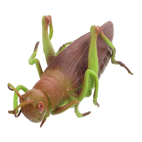 KAILIKETIY Insektenspielzeug für Realistisches Heuschrecken Modell aus Weichem Lernhilfe für Insektenkenntnisse und Kreative Dekoration für Schreibtisch und Regal KAILIKETIY Insektenspielzeug für Realistisches Heuschrecken Modell aus Weichem Lernhilfe für Insektenkenntnisse und Kreative Dekoration für Schreibtisch und Regal von KAILIKETIY