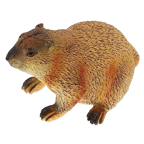 KAILIKETIY Simulationstier Modell Realistische Erdhörnchen Figur Für Dekoration Pädagogisches Spielzeug Für Klassenzimmer Und Kinderzimmer Fördert Tiererkennung Und Kreativität KAILIKETIY Simulationstier Modell Realistische Erdhörnchen Figur Für Dekoration Pädagogisches Spielzeug Für Klassenzimmer Und Kinderzimmer Fördert Tiererkennung Und Kreativität von KAILIKETIY