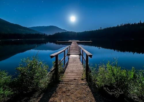 Night Plank Road-5000-Teiliges Puzzle, Wunderschön Illustriertes Puzzle, Großes Dekompressionsspielzeug Für Puzzlespiele, Geeignet Für Spieleabende Night Plank Road-5000-Teiliges Puzzle, Wunderschön Illustriertes Puzzle, Großes Dekompressionsspielzeug Für Puzzlespiele, Geeignet Für Spieleabende von KAIXIUPuzzle