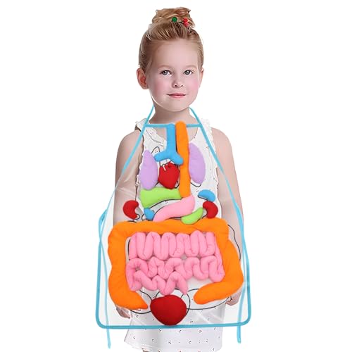 KAKIBLIN 3D-Orgelschürze, Plüsch-DIY-Organ-Schürze für Schüler, menschliche Körperorgane, Bewusstseinsviszera für Lehrer, Lehrutensilien für Zuhause, Vorschule, Lehrhilfe KAKIBLIN 3D-Orgelschürze, Plüsch-DIY-Organ-Schürze für Schüler, menschliche Körperorgane, Bewusstseinsviszera für Lehrer, Lehrutensilien für Zuhause, Vorschule, Lehrhilfe von KAKIBLIN
