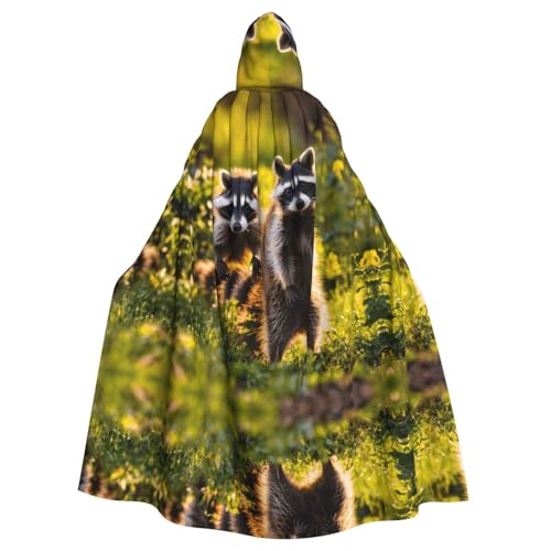 Kapuzenumhang mit süßem Waschbär-Druck, 140 cm Länge, Vampir-Kapuzenumhang für Halloween, Rollenspiele mit Krawatte Kapuzenumhang mit süßem Waschbär-Druck, 140 cm Länge, Vampir-Kapuzenumhang für Halloween, Rollenspiele mit Krawatte von KAPPTYY