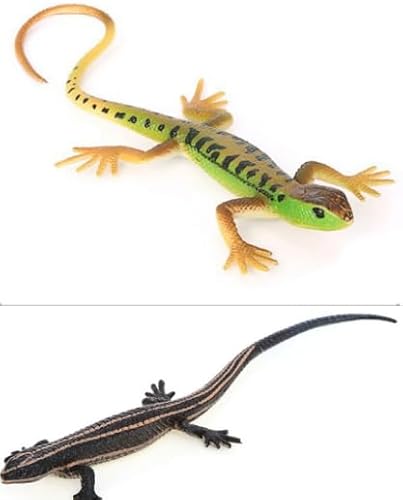 KARELLS Simulierte Eidechsen,Gefälschtes Eidechsens 2 Stück,Realistische Falsche Eidechse,Reptilienspielzeug,Eidechsen-Gummispielzeug,pädagogisches Wildtier-Geschenk KARELLS Simulierte Eidechsen,Gefälschtes Eidechsens 2 Stück,Realistische Falsche Eidechse,Reptilienspielzeug,Eidechsen-Gummispielzeug,pädagogisches Wildtier-Geschenk von KARELLS