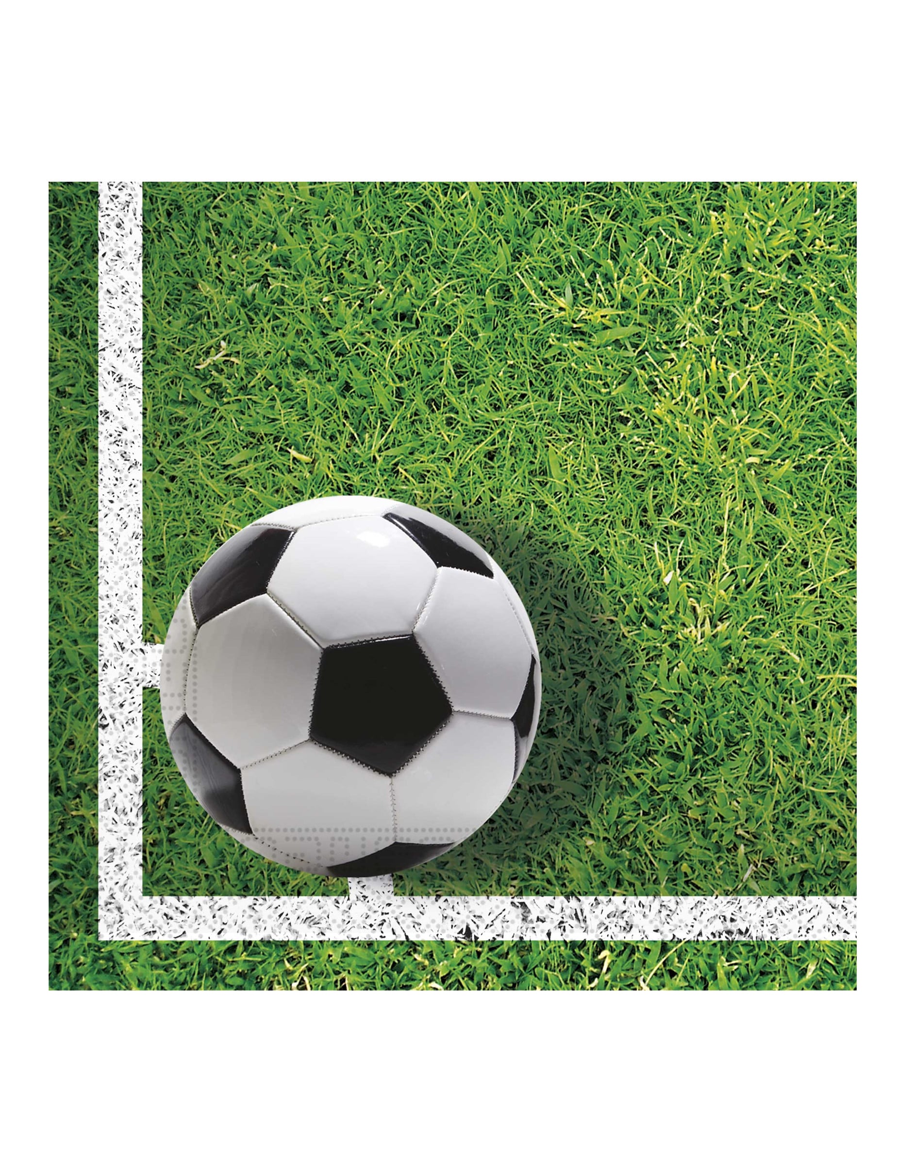 20 Fußball Party Servietten 33 x 33 cm Spielfeld Motiv von KARNEVAL-MEGASTORE