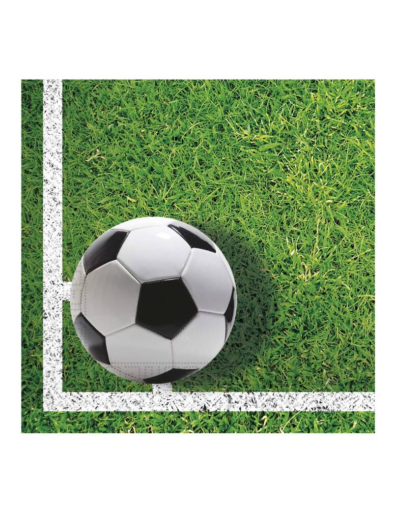 20 Fußball Party Servietten 33 x 33 cm Spielfeld Motiv von KARNEVAL-MEGASTORE