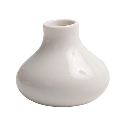 KASNLSAC 3D Kühlschrankmagnet Vase Mini Keramik Dekorative Blume für Home Office Küche Locker Whiteboard Kompakt Blumen C von KASNLSAC