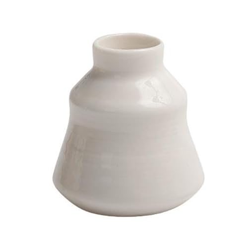 KASNLSAC 3D Kühlschrankmagnet Vase Mini Keramik Dekorative Blume für Home Office Küche Locker Whiteboard Kompakt Blumen D von KASNLSAC