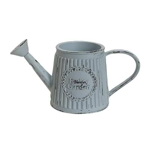 KASNLSAC Metall Miniatur -Bewässerung Kleiner Dekoration Mini Flaschen Sprinkler Pot Dollhouse Gartenwerkzeuge Spielzeug für Gärten Blume simuliert D von KASNLSAC