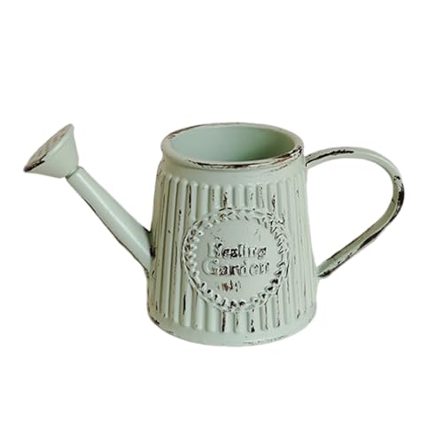 KASNLSAC Metall Miniatur -Bewässerung Kleiner Dekoration Mini Flaschen Sprinkler Pot Dollhouse Gartenwerkzeuge Spielzeug für Gärten Blume simuliert E von KASNLSAC