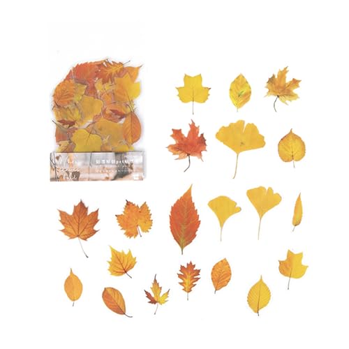 KASNLSAC Pet Decals Pflanzenabziehbilder 40pcs Haustier Aufkleber Pflanzenblumpilze 8 Themen 20 Muster Abziehbilder für Notebook -Hüllkurvenhülle Wasserflasche Dekoration A von KASNLSAC