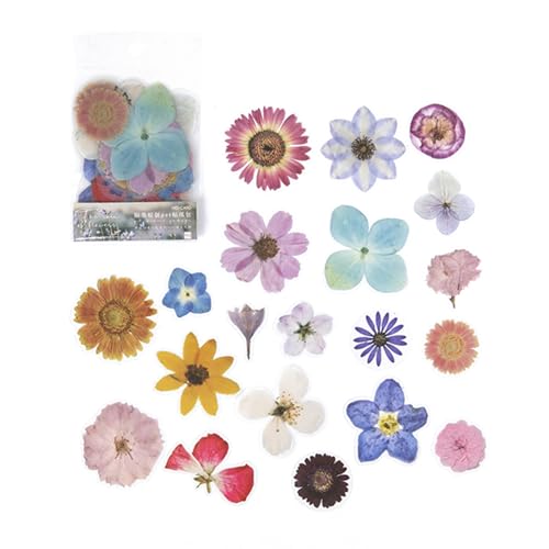 KASNLSAC Pet Decals Pflanzenabziehbilder 40pcs Haustier Aufkleber Pflanzenblumpilze 8 Themen 20 Muster Abziehbilder für Notebook -Hüllkurvenhülle Wasserflasche Dekoration H von KASNLSAC