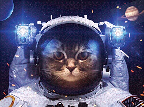 1000 Teiliges Puzzle für Erwachsene,「Weltraumkatze」,Familien recycelbare Materialien und hochauflösendes Druckpuzzle,Familienspiel,Geschenk und Geschenk für Liebhaber oder Freunde. von KAVAVO