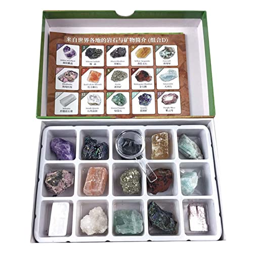 Deluxe Rock and Mineral Collection Science for Party Children Kids Deluxe Rock and Mineral Collection Science for Party Children Kids von KBOLAE