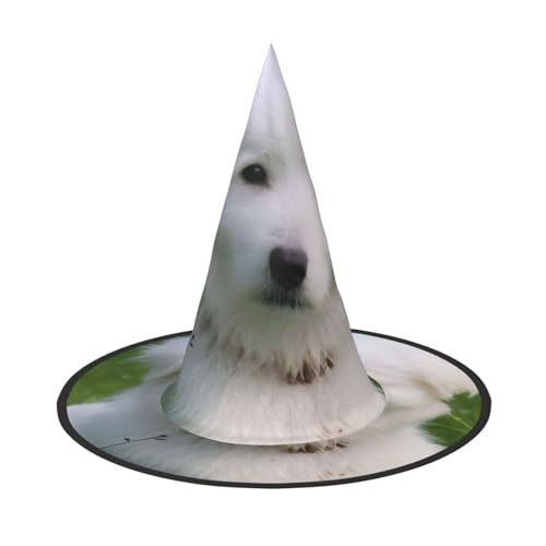 KDKJEDPEAF Bichon On The Grass Print Halloween Pointy Hat For Women Magic Hat Foldable Witch Hatwizard Party Hat For Cosplay Costume & Daily Accessorie KDKJEDPEAF Bichon On The Grass Print Halloween Pointy Hat For Women Magic Hat Foldable Witch Hatwizard Party Hat For Cosplay Costume & Daily Accessorie von KDKJEDPEAF