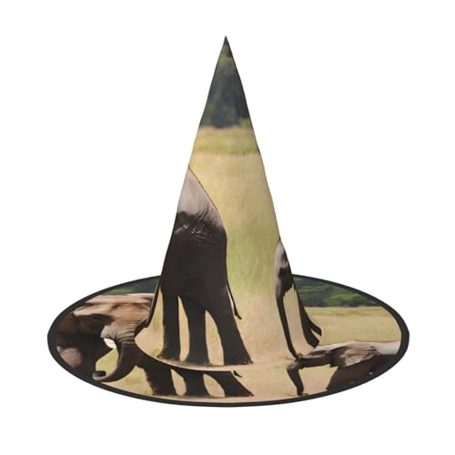 KDKJEDPEAF Elefantenfamilie Druck Halloween Spitzhut für Frauen Magischer Hut Faltbarer Hexenhut Zauberer Partyhut für Cosplay Kostüm & tägliches Zubehör von KDKJEDPEAF