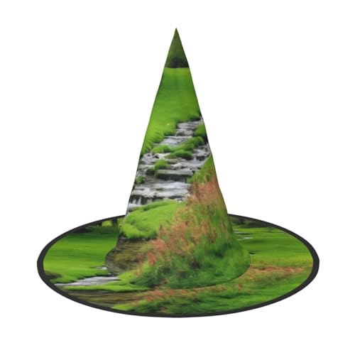 KDKJEDPEAF Frühlingsgras-Druck Halloween Spitzhut für Frauen, magischer Hut, faltbarer Hexenhut-Zauberer Partyhut für Cosplay-Kostüm & tägliches Zubehör KDKJEDPEAF Frühlingsgras-Druck Halloween Spitzhut für Frauen, magischer Hut, faltbarer Hexenhut-Zauberer Partyhut für Cosplay-Kostüm & tägliches Zubehör von KDKJEDPEAF