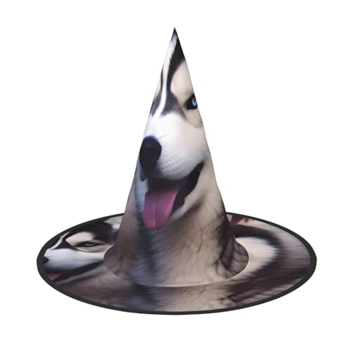 KDKJEDPEAF Husky Hund Druck Halloween Spitzhut für Frauen Magischer Hut Faltbarer Hexenhut Zauberer Partyhut für Cosplay Kostüm & tägliches Zubehör KDKJEDPEAF Husky Hund Druck Halloween Spitzhut für Frauen Magischer Hut Faltbarer Hexenhut Zauberer Partyhut für Cosplay Kostüm & tägliches Zubehör von KDKJEDPEAF