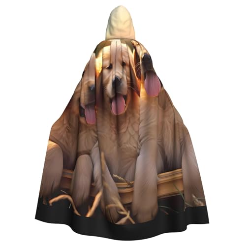 KDKJEDPEAF Unisex Erwachsener Halloween Kapuzenumhang – Hexe/Zauberer übergroße Kapuze Robe, Golden Retriever Hunde Welpe Print Cosplay Kostüm KDKJEDPEAF Unisex Erwachsener Halloween Kapuzenumhang – Hexe/Zauberer übergroße Kapuze Robe, Golden Retriever Hunde Welpe Print Cosplay Kostüm von KDKJEDPEAF
