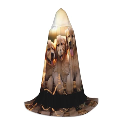 KDSEFHHCB Golden Retriever Kapuzenumhang für Teenager, Halloween, Weihnachten, Party, Cosplay-Kostüm KDSEFHHCB Golden Retriever Kapuzenumhang für Teenager, Halloween, Weihnachten, Party, Cosplay-Kostüm von KDSEFHHCB
