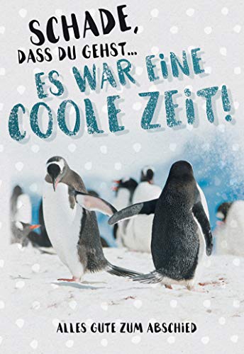 KE - Abschiedskarte für Arbeitskollegen, Pinguin Motiv, Klapp-Karte mit Umschlag, DIN B6 Format, Geschenk zum Abschied und Auf Wiedersehen - Pinguin KE - Abschiedskarte für Arbeitskollegen, Pinguin Motiv, Klapp-Karte mit Umschlag, DIN B6 Format, Geschenk zum Abschied und Auf Wiedersehen - Pinguin von KE