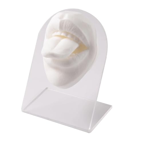1PC Silikon Mund Zunge 3D Modell Nagel Lip Piercing Naht Praxis Schmuck Werkzeug(1PC White) von KEBLIN