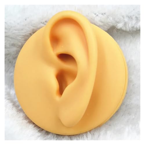 KEBLIN 5 Teile/los Weiche Slicone Flexible Ohr Zunge Nabel Nase Lip Piercing Praxis Lehre Modell Display-Tool(Ear) von KEBLIN