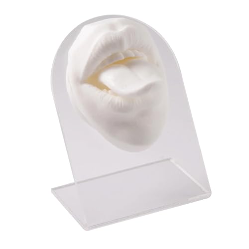 KEBLIN Menschliches 3D-Silikon-Zungenmodell-Simulation for Piercing-Display-Lehrmittel, weiche, Flexible Mund-Displays(3) von KEBLIN