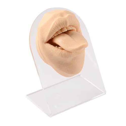 KEBLIN Menschliches 3D-Silikon-Zungenmodell-Simulation for Piercing-Display-Lehrmittel, weiche, Flexible Mund-Displays(Flesh) von KEBLIN