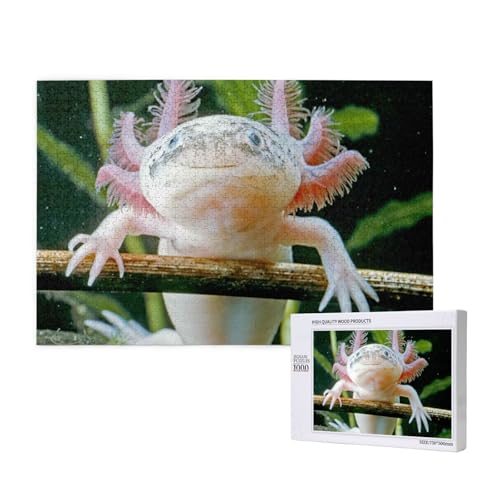 Axolotl, Puzzle 1000 Teile, Holzpuzzle, Spielzeug, Familienspiel, Wanddekoration für Erwachsene und Teenager Axolotl, Puzzle 1000 Teile, Holzpuzzle, Spielzeug, Familienspiel, Wanddekoration für Erwachsene und Teenager von KEDDJI