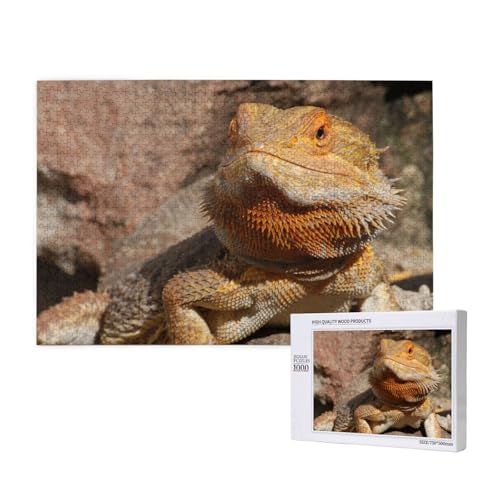 Bartagam, Puzzle 1000 Teile, Holzpuzzle, Spielzeug, Familienspiel, Wanddekoration für Erwachsene und Teenager Bartagam, Puzzle 1000 Teile, Holzpuzzle, Spielzeug, Familienspiel, Wanddekoration für Erwachsene und Teenager von KEDDJI