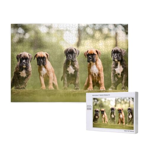 Boxer Hunde Welpen Haustiere Familienhunde, Puzzle 1000 Teile, Holzpuzzle, Spielzeug, Familienspiel, Wanddekoration für Erwachsene und Teenager Boxer Hunde Welpen Haustiere Familienhunde, Puzzle 1000 Teile, Holzpuzzle, Spielzeug, Familienspiel, Wanddekoration für Erwachsene und Teenager von KEDDJI