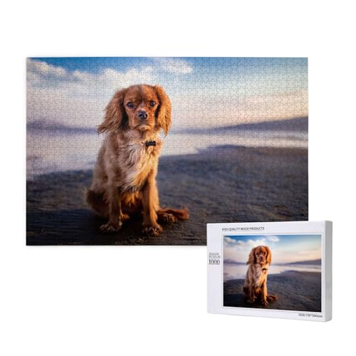 Cavalier King Charles Spaniel Küste Haustiere Hunde, Puzzle 1000 Teile, Holzpuzzle, Spielzeug, Familienspiel, Wanddekoration für Erwachsene und Teenager Cavalier King Charles Spaniel Küste Haustiere Hunde, Puzzle 1000 Teile, Holzpuzzle, Spielzeug, Familienspiel, Wanddekoration für Erwachsene und Teenager von KEDDJI