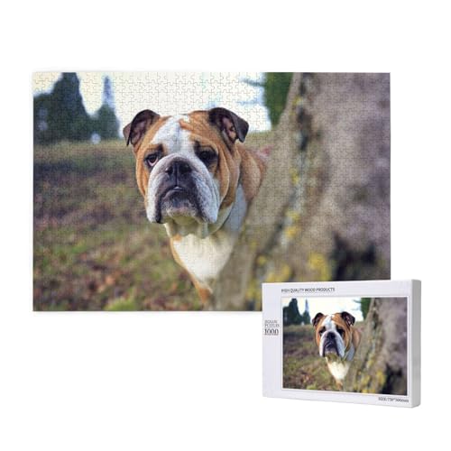 Englische Bulldoggen Rasentiere Englische Bulldoggen, Puzzle 1000 Teile, Holzpuzzle, Spielzeug, Familienspiel, Wanddekoration für Erwachsene und Teenager Englische Bulldoggen Rasentiere Englische Bulldoggen, Puzzle 1000 Teile, Holzpuzzle, Spielzeug, Familienspiel, Wanddekoration für Erwachsene und Teenager von KEDDJI