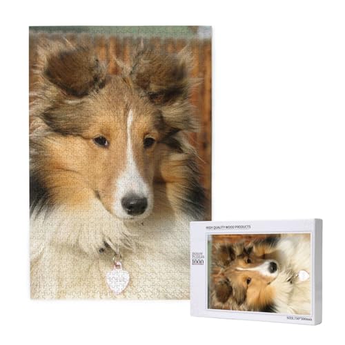 Schöner Sheltie-Hund, Puzzle 1000 Teile, Holzpuzzle, Spielzeug, Familienspiel, Wanddekoration für Erwachsene und Teenager Schöner Sheltie-Hund, Puzzle 1000 Teile, Holzpuzzle, Spielzeug, Familienspiel, Wanddekoration für Erwachsene und Teenager von KEDDJI