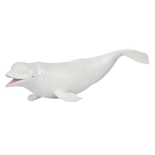 KENANLAN Beluga Wal Figur,Beluga Wal Modell PVC Kunststoff Simulation Beluga Wal Dekoration Simulation Tier Figur Spielzeug für Heim und Bürodekoration KENANLAN Beluga Wal Figur,Beluga Wal Modell PVC Kunststoff Simulation Beluga Wal Dekoration Simulation Tier Figur Spielzeug für Heim und Bürodekoration von KENANLAN