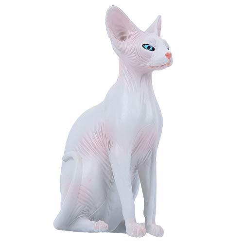 KENANLAN Katzenmodell Simulation Haarlose Katzenmodell Home Ornamente Desktop Dekoration Spielzeug Spielzeug (PL127-1563) von KENANLAN