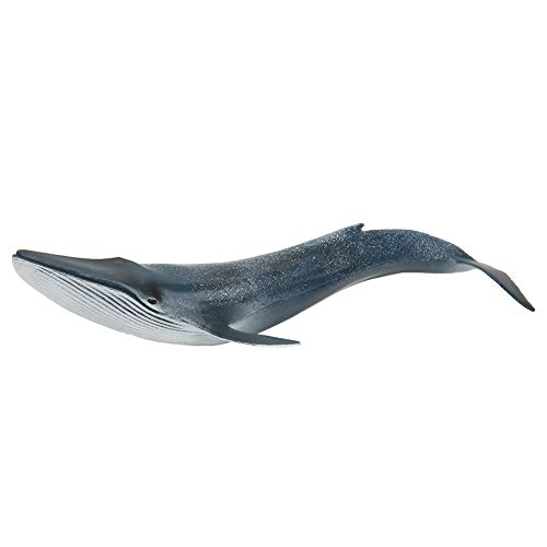 KENANLAN Sea Animalfiguren Modell Wale Fisch Statuen Bildung Laerning Desktop Dekoration FischmodellKid Niedliche Simulation Miniatur Tierspielzeug KENANLAN Sea Animalfiguren Modell Wale Fisch Statuen Bildung Laerning Desktop Dekoration FischmodellKid Niedliche Simulation Miniatur Tierspielzeug von KENANLAN
