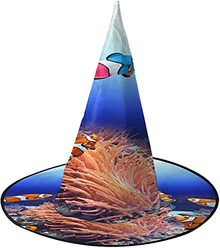 KEROTA 3D Ozeanfisch Halloween Verzieren Magischer Hut Hexenhut für Party Maskerade Cosplay Kostüm Zubehör KEROTA 3D Ozeanfisch Halloween Verzieren Magischer Hut Hexenhut für Party Maskerade Cosplay Kostüm Zubehör von KEROTA