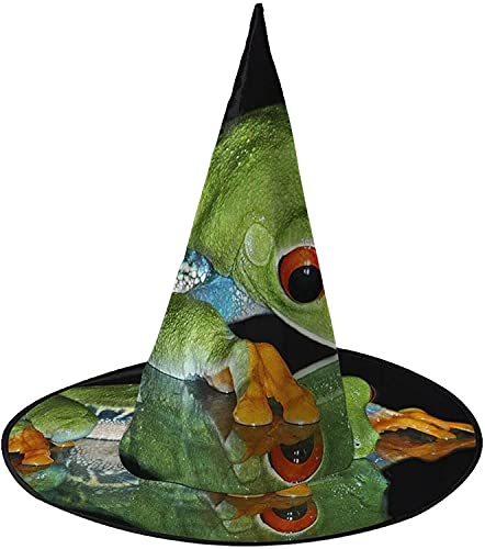 KEROTA Frosch Halloween Zauberhut Hexenhut für Party Maskerade Cosplay Kostüm Zubehör von KEROTA