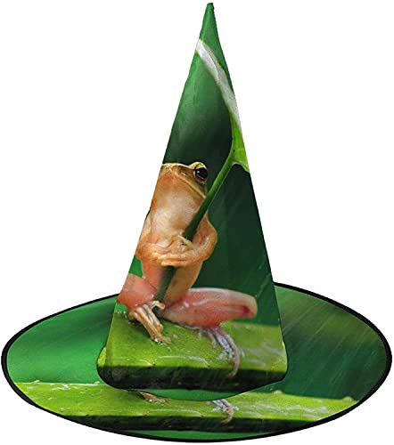 KEROTA Frosch im Regen Halloween Verzieren Magischer Hut Hexenhut für Party Maskerade Cosplay Kostüm Zubehör KEROTA Frosch im Regen Halloween Verzieren Magischer Hut Hexenhut für Party Maskerade Cosplay Kostüm Zubehör von KEROTA
