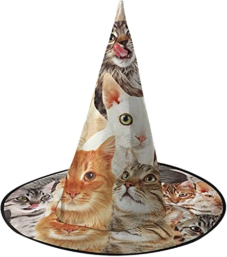 KEROTA Katze Halloween Verzieren Zauberhut Hexenhut für Party Maskerade Cosplay Kostüm Zubehör von KEROTA