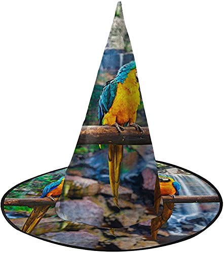KEROTA Lustiger Vogel Halloween Verzieren Magischer Hut Hexenhut für Party Maskerade Cosplay Kostüm Zubehör KEROTA Lustiger Vogel Halloween Verzieren Magischer Hut Hexenhut für Party Maskerade Cosplay Kostüm Zubehör von KEROTA