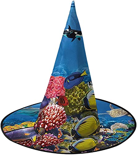 KEROTA Marine Life Halloween Verzieren Magischer Hut Hexenhut für Party Maskerade Cosplay Kostüm Zubehör KEROTA Marine Life Halloween Verzieren Magischer Hut Hexenhut für Party Maskerade Cosplay Kostüm Zubehör von KEROTA