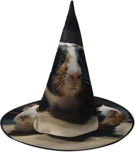 KEROTA Meerschweinchen Halloween Verzieren Magischer Hut Hexenhut für Party Maskerade Cosplay Kostüm Zubehör KEROTA Meerschweinchen Halloween Verzieren Magischer Hut Hexenhut für Party Maskerade Cosplay Kostüm Zubehör von KEROTA