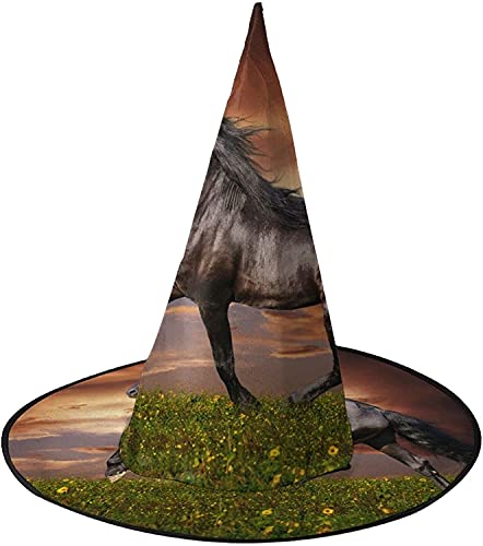 KEROTA Pferd Trot schwarzer Friesenhut Halloween dekorieren magischer Hut Hexenhut für Party Maskerade Cosplay Kostüm Zubehör KEROTA Pferd Trot schwarzer Friesenhut Halloween dekorieren magischer Hut Hexenhut für Party Maskerade Cosplay Kostüm Zubehör von KEROTA