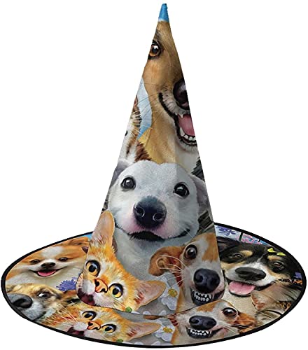 KEROTA Tier- und Blumen-Halloween-Verzierungshut Zauberhut, Hexenhut für Party, Maskerade, Cosplay, Kostüm-Zubehör von KEROTA