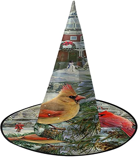 KEROTA Vogel Halloween Verzieren Magischer Hut Hexenhut für Party Maskerade Cosplay Kostüm Zubehör KEROTA Vogel Halloween Verzieren Magischer Hut Hexenhut für Party Maskerade Cosplay Kostüm Zubehör von KEROTA